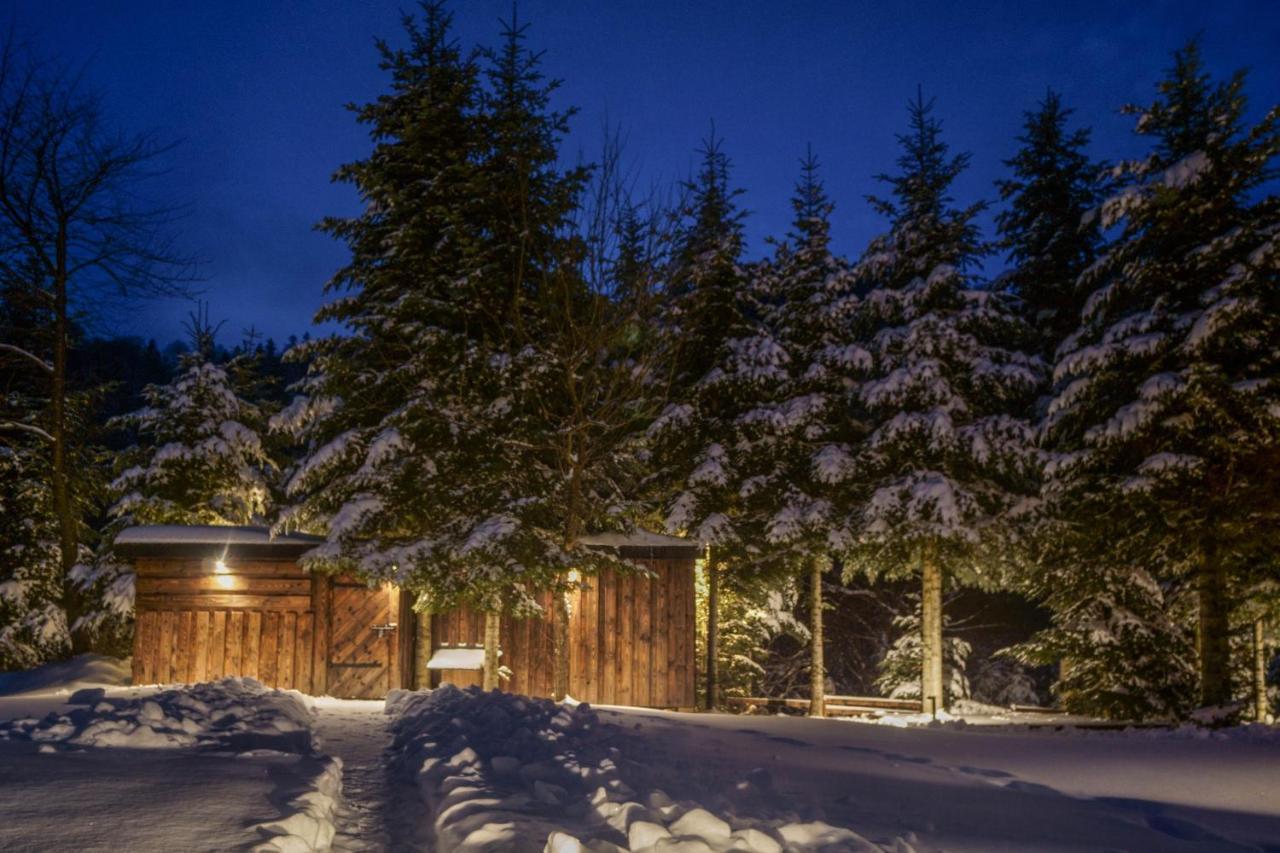 Novosiele Residence - Nad Gorska Rzeka - Lesne Spa Sauna Jacuzzi - Bieszczady Bystre  Exterior foto